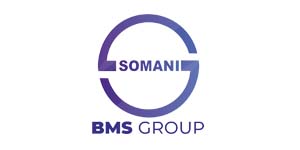 BMS Group